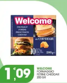 Rosa Cash Welcome formaggio fettine cheddar offerta