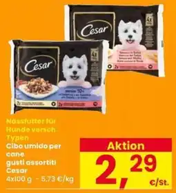 Interspar Cibo umido per cane gusti assortiti Cesar offerta