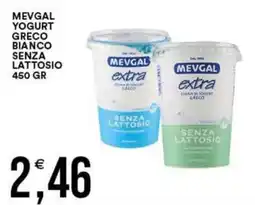 Vantaggio Cash&Carry Mevgal yogurt greco bianco senza lattosio offerta