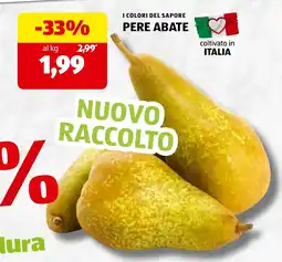 ALDI Pere Abate offerta