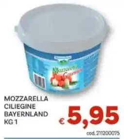 Vivo Supermercati Mozzarella ciliegine bavaria offerta
