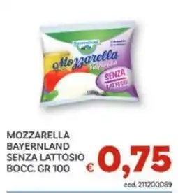 Vivo Supermercati Mozzarella Bayernland senza lattosio offerta