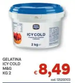 Vivo Supermercati Gelatina Icy Cold offerta