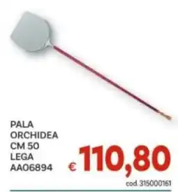 Vivo Supermercati Pala Orchidea offerta