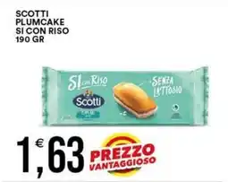 Vantaggio Cash&Carry Scotti plumcake si con riso offerta