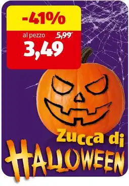 ALDI Zucca di Halloween offerta