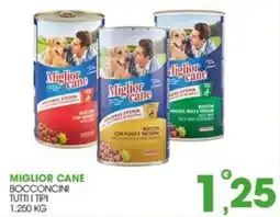 Rosa Cash Miglior cane bocconcini offerta