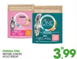 Rosa Cash Purina One Bifensis Junior/Adult offerta