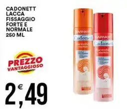 Vantaggio Cash&Carry Cadonett lacca fissaggio forte e normale offerta