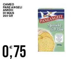 Vantaggio Cash&Carry Amido di Mais Paneangeli offerta