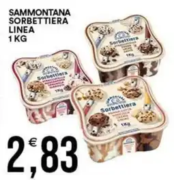 Vantaggio Cash&Carry Sammontana Sorbettiera Linea offerta