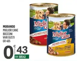 Tutto Risparmio Cash&Carry Miglior cane Bocconi offerta