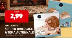 ALDI Home Creation Set per bricolage a tema autunnale offerta