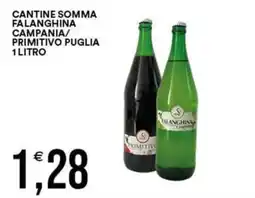 Vantaggio Cash&Carry Falanghina Campania/Primitivo Puglia offerta