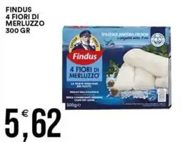 Vantaggio Cash&Carry Findus 4 Fiori di Merluzzo offerta
