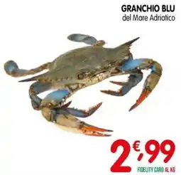 D'Ambros Granchio Blu del Mare Adriatico offerta