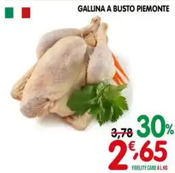 D'Ambros Gallina a busto Piemonte offerta