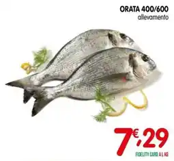 D'Ambros Orata allevamento offerta