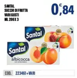 Adhoc Santal succhi di frutta vari gusti offerta