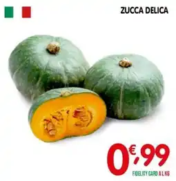 D'Ambros Zucca Delica offerta