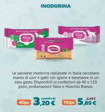 Salviette Inodorina