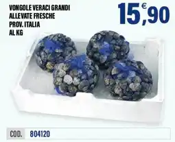 Adhoc Vongole veraci grandi allevate fresche offerta