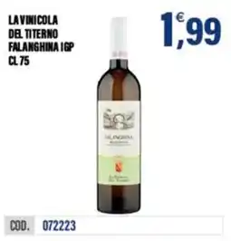 Adhoc Falanghina IGP offerta