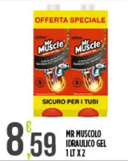 Netto Supermercati Mr Muscle idraulico gel offerta