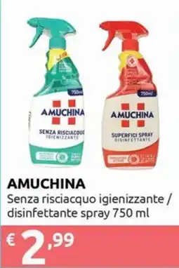 Smoll Amuchina senza risciacquo igienizzante offerta