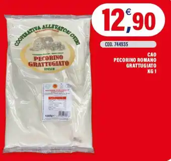 Pecorino Romano Grattugiato