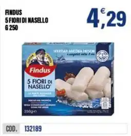 Adhoc Findus 5 Fiori di Nasello offerta