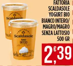 Netto Supermercati Fattoria Scaldasole Yogurt Bio Bianco Intero offerta