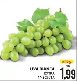 Mazzeo Giocattoli Uva bianca extra 1^ scelta offerta