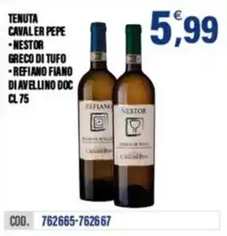 Adhoc Tenuta Cavalier Pepe - Nestor Greco di Tufo - Refiano Fiano di Avellino DOC offerta