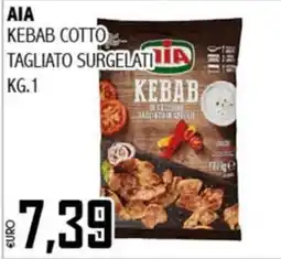 Big Food Aia kebab cotto tagliato surgelati offerta