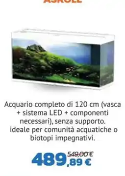 Joe Zampetti Acquario Askoll offerta