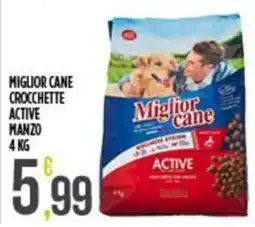 Supermercato Pollio Miglior cane crocchette active manzo offerta