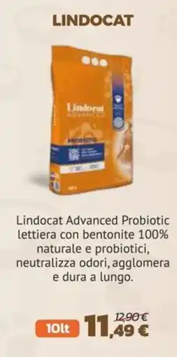 Joe Zampetti Lindocat Advanced Probiotic offerta