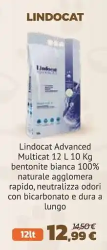 Joe Zampetti Lindocat Advanced Multicat 12 L offerta