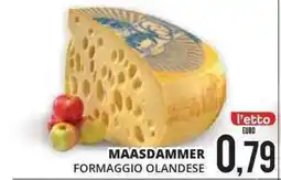 Mazzeo Giocattoli Maasdammer formaggio olandese offerta