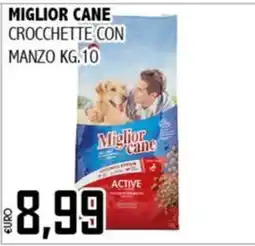 Big Food Crocchette con manzo Miglior cane offerta
