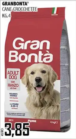 Big Food Gran Bontà Cane Crocchette Adult Dog con Manzo offerta