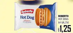 Big Food Roberto Hot Dog classico offerta