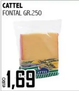 Big Food Fontal Cattel offerta