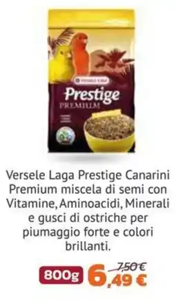Joe Zampetti Versele Laga Prestige Canarini Premium offerta