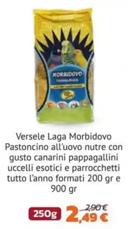 Joe Zampetti Versele Laga Morbidovo Pastoncino all'uovo offerta