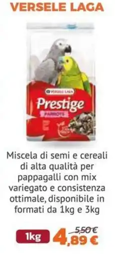 Joe Zampetti Prestige Pappagalli offerta