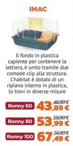 Joe Zampetti IMAC Ronny offerta