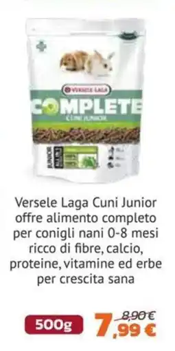 Joe Zampetti Versele Laga Cuni Junior offerta