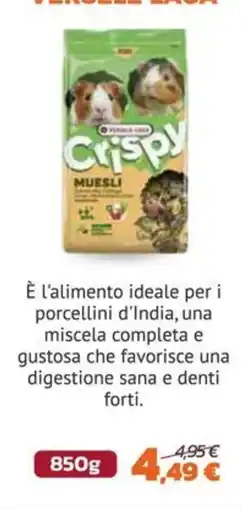 Joe Zampetti Crispy Muesli offerta